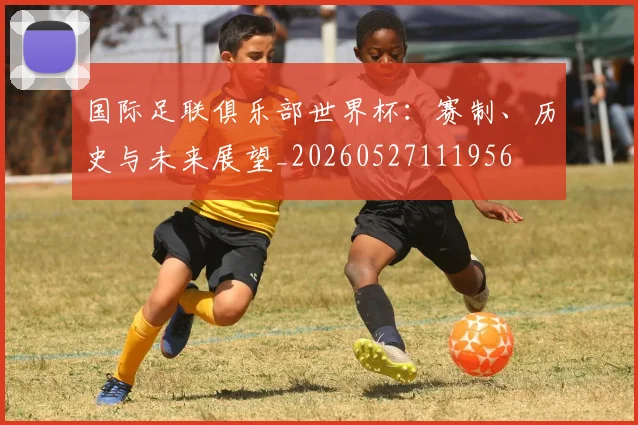 国际足联俱乐部世界杯：赛制、历史与未来展望_20260527111956