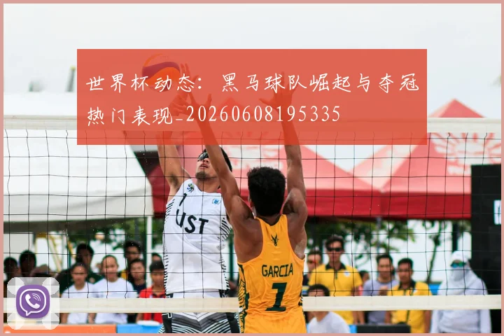 世界杯动态：黑马球队崛起与夺冠热门表现_20260608195335